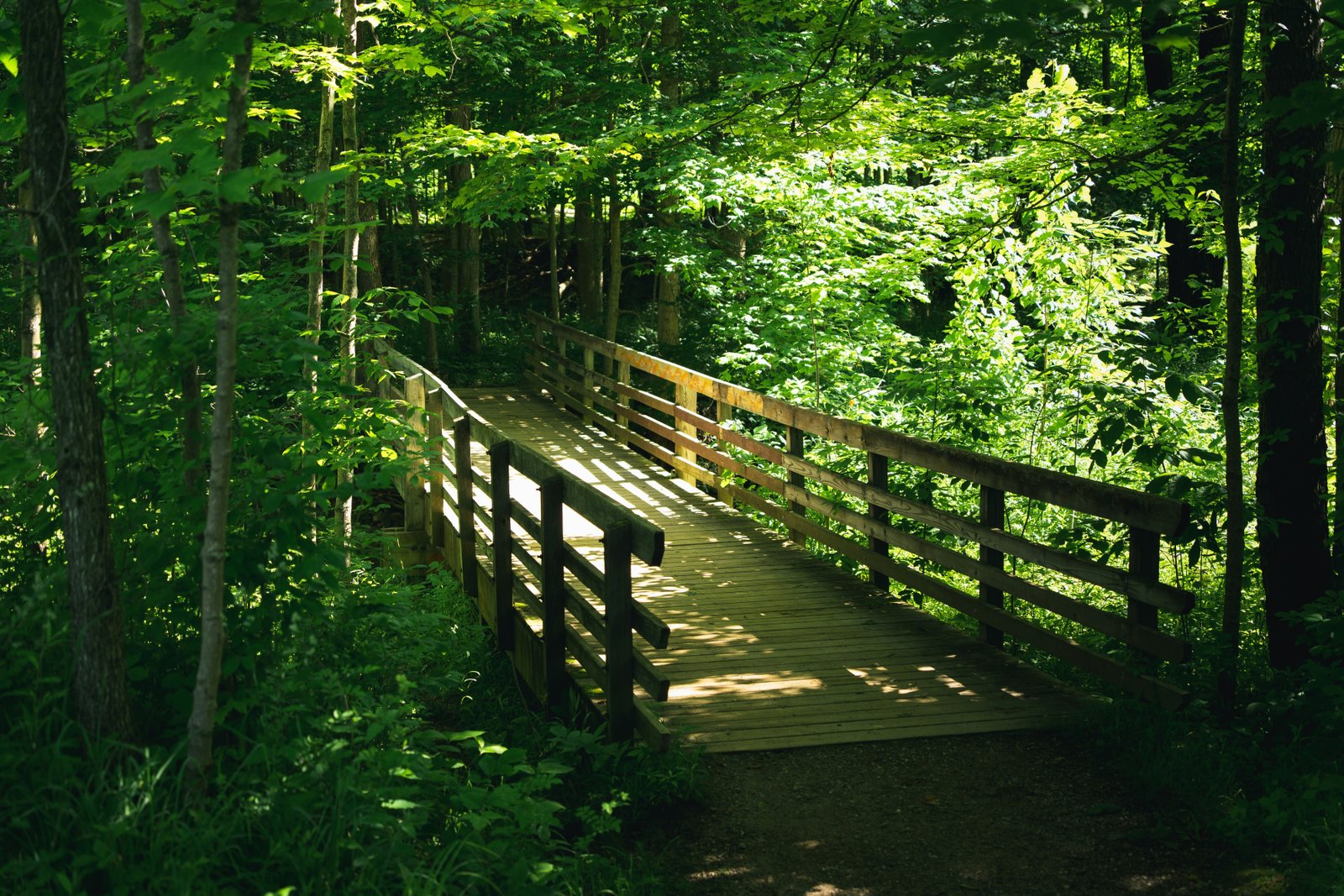 Hiking In Cleveland: What Trails Are The Best (FULL REVIEW in 2026)? 14 One of the famous Cuyahoga Valley hikes