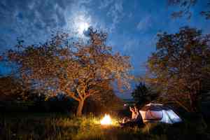 Camping tips under under trees and night sky with the moon.