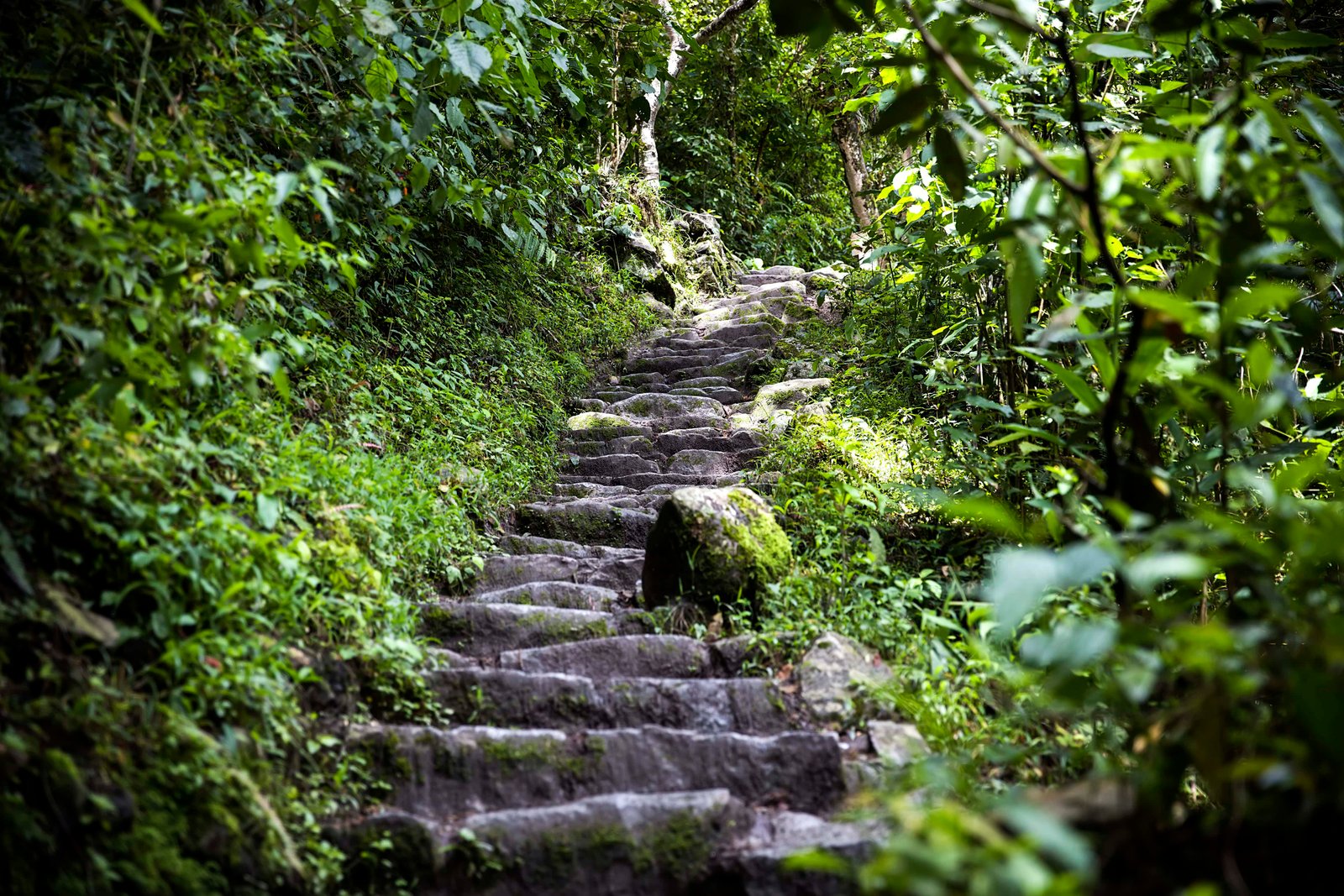 4-Day Classic Inca Trail Hike Guide! 10 Detail of the Machu Picchu Inca citadel in Peru