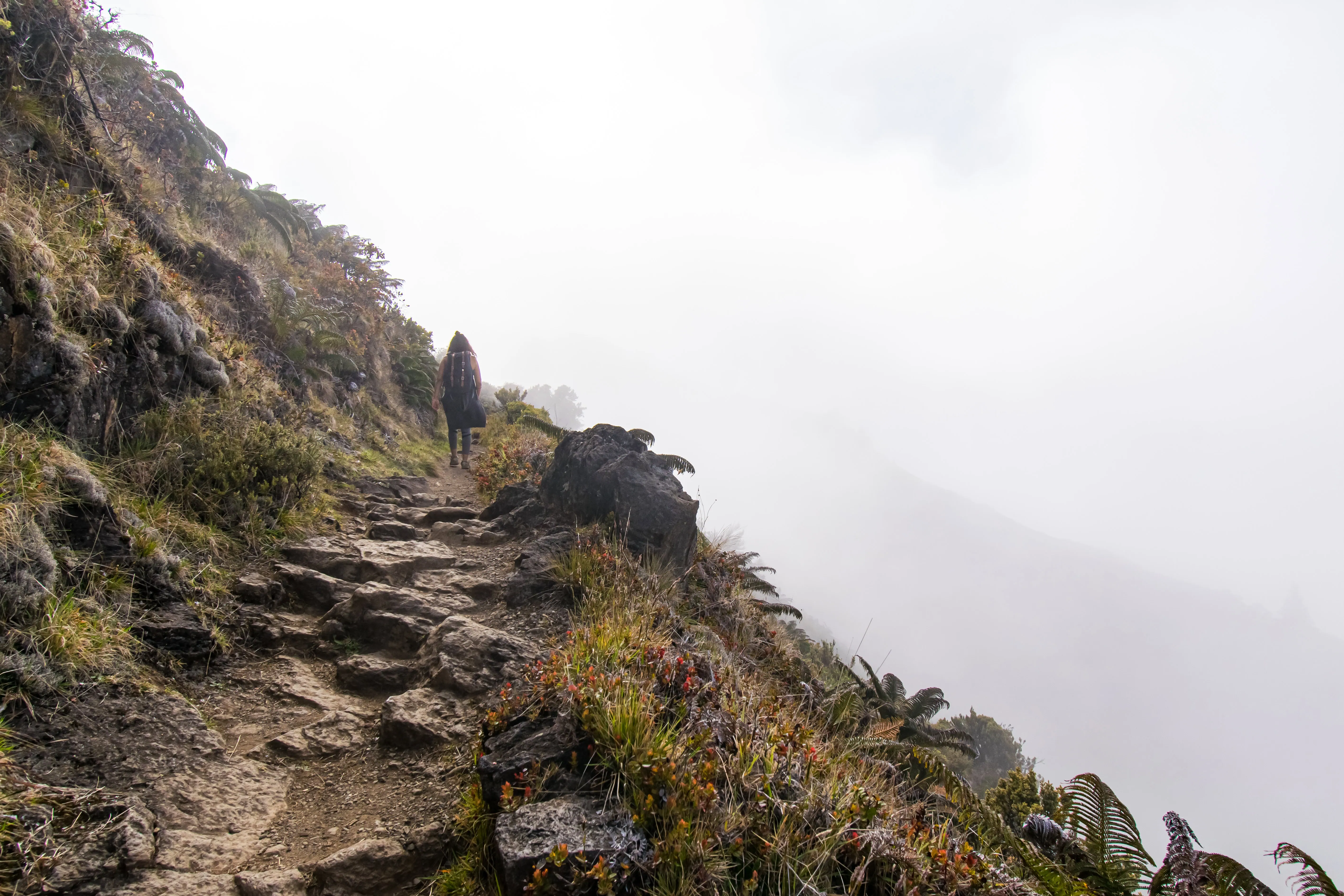 Woman Walking a Path to the Bode of a Foggy Mountain