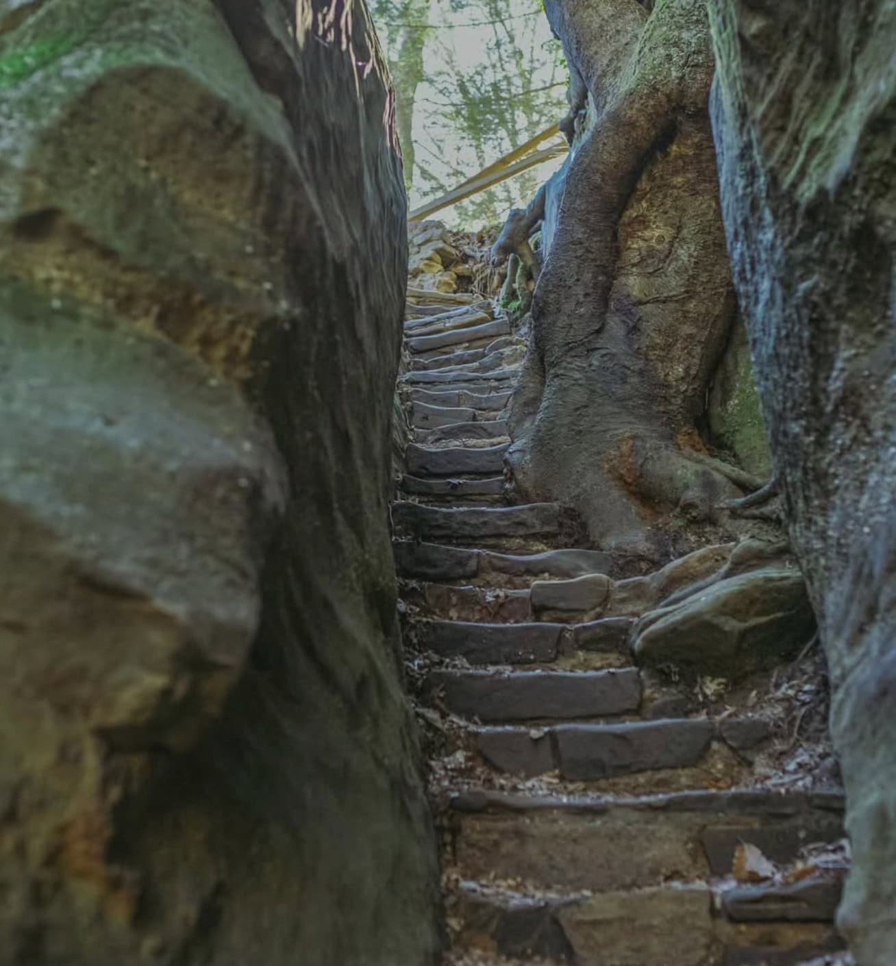What Are The 7 Best Trails at Hocking Hills You Can't Miss? 14 Cantwell cliffs.