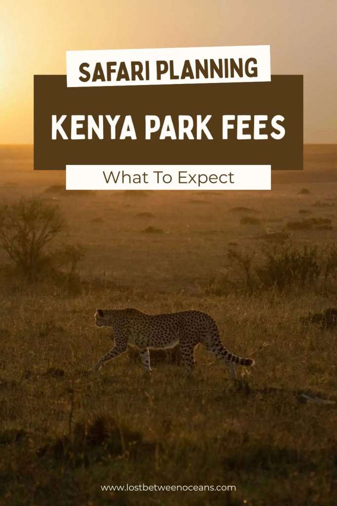 Pint erest picture on Kenya national park entries