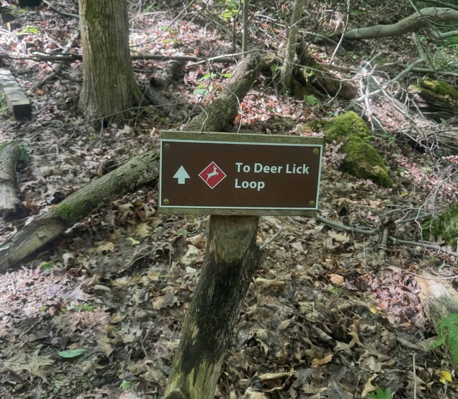 Deer Lick Cave loop sign for hiking in Cleveland