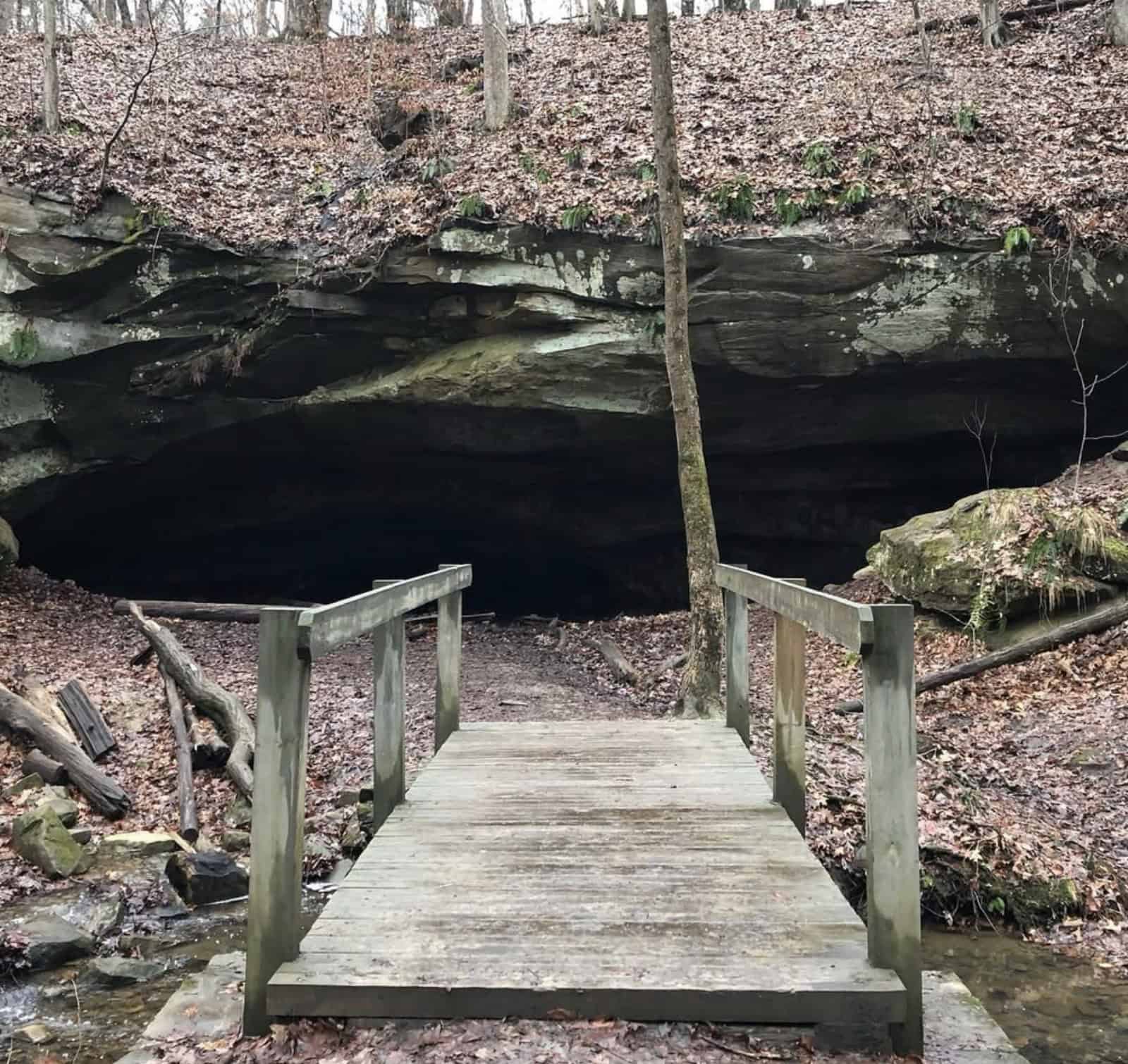 Deer Lick Cave overhang