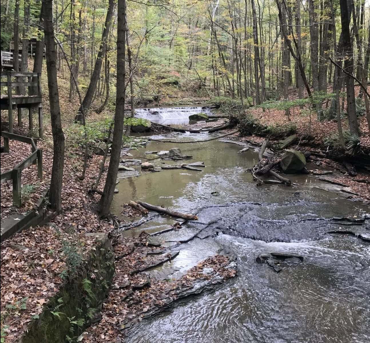 Hiking In Cleveland: What Trails Are The Best (FULL REVIEW in 2026)? 17 Tinkers Gorge