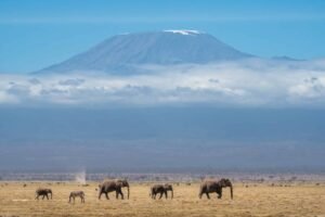 Best Kenya 2 Week Itinerary for First-Time Visitors