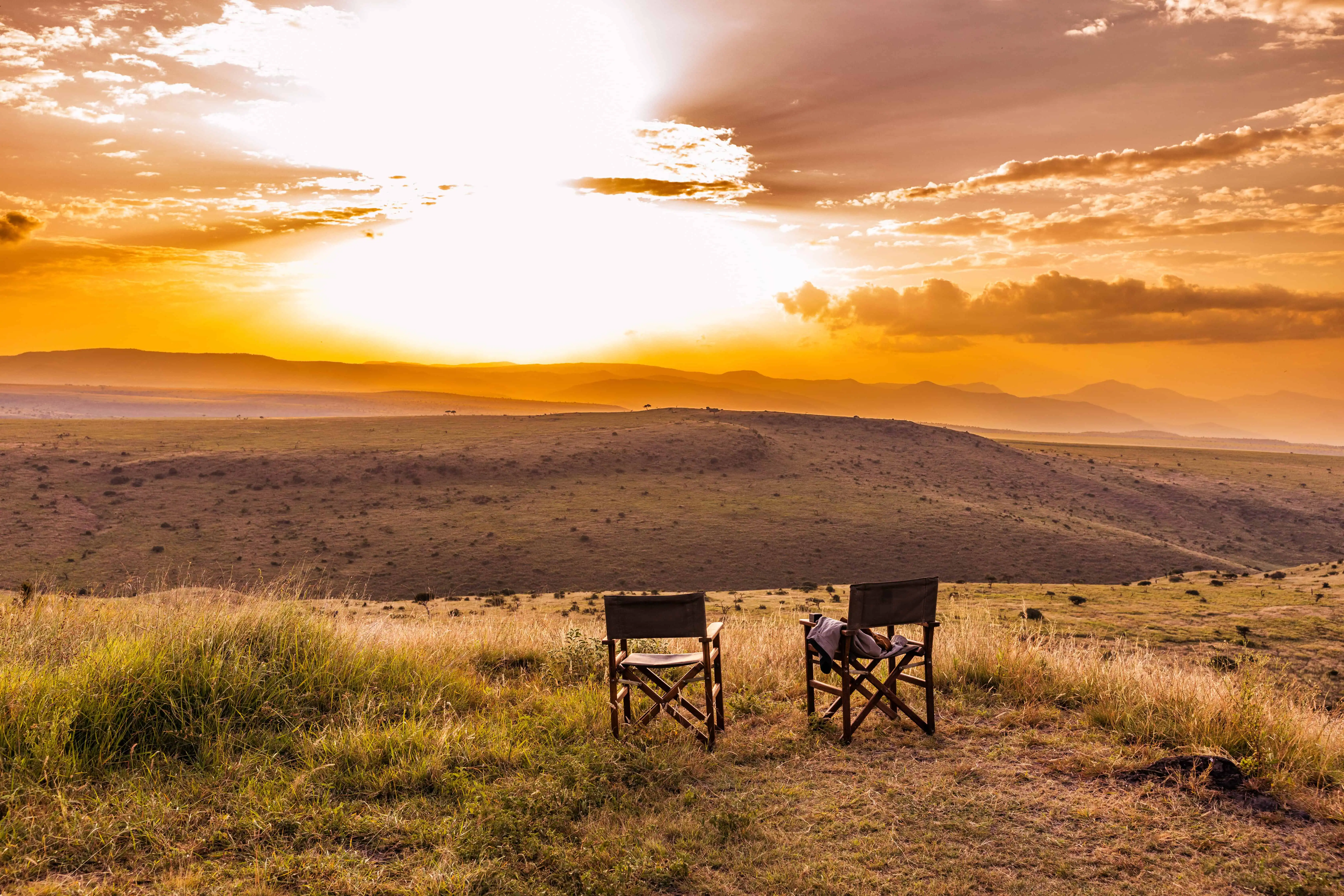 Kenya Landscapes Fields Plants Vegetations Wild Wildlife Animals Travels