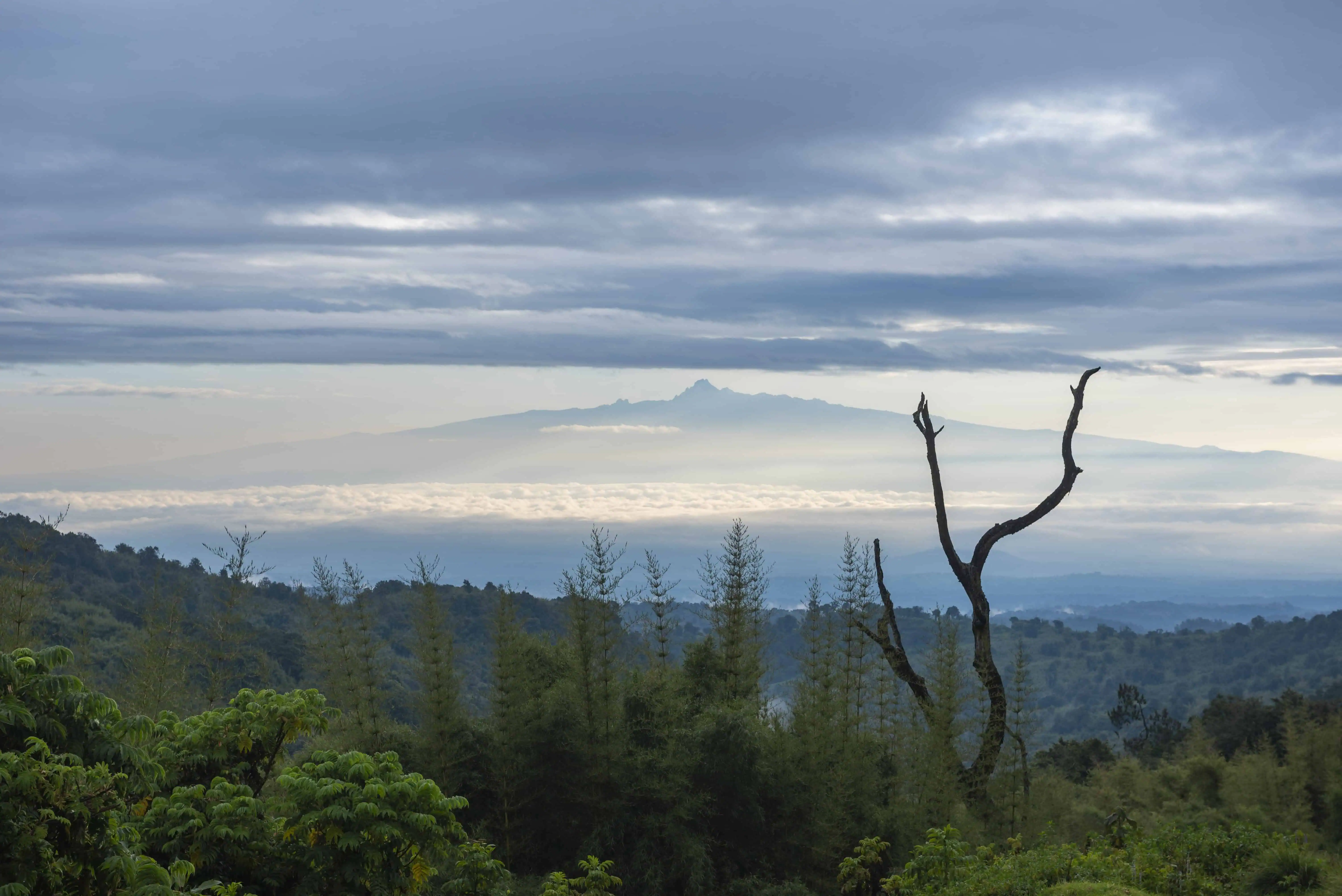 Mount Kenya 5199m summit, seen from Aberdare National Park, Kenya