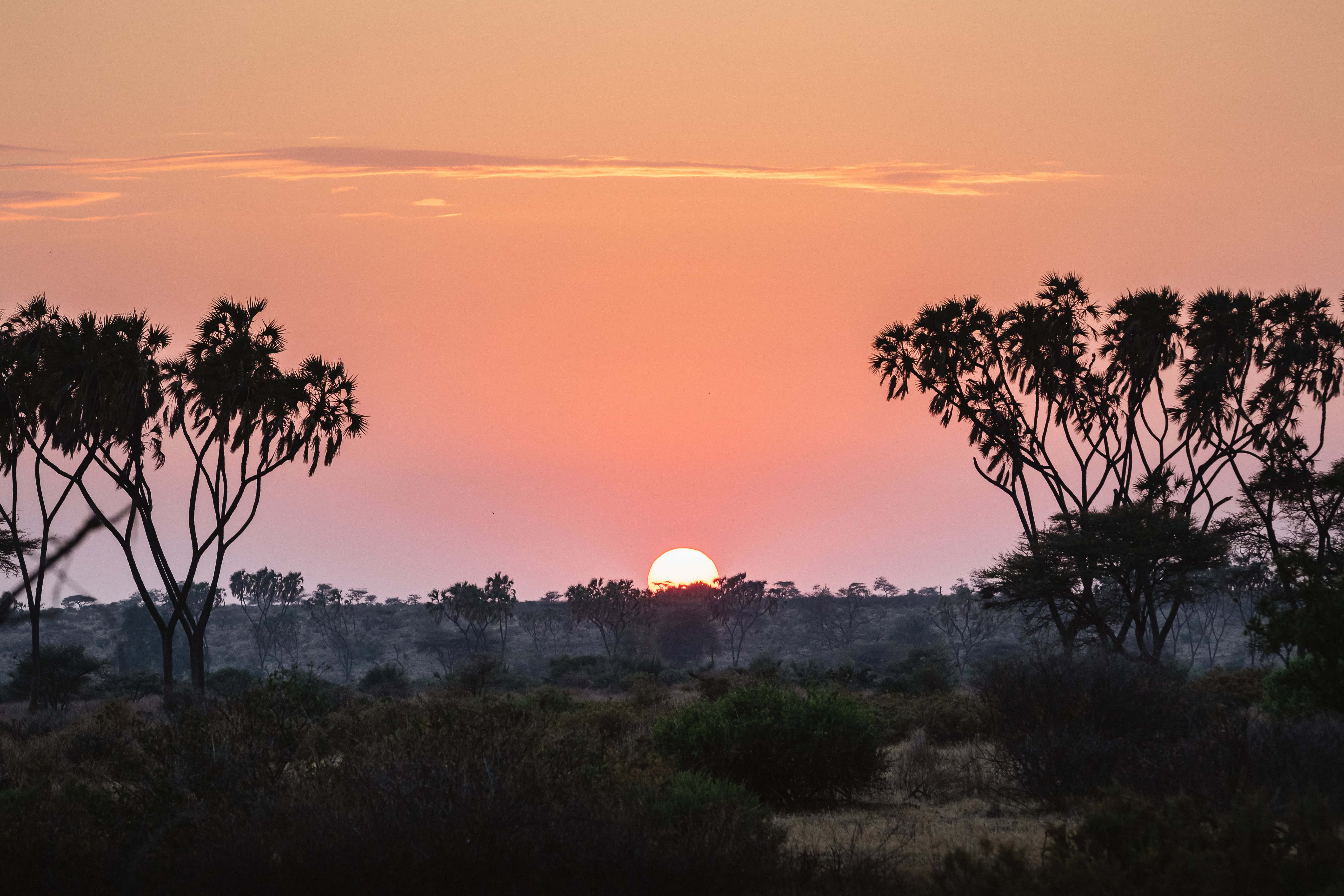 Do You Need a Visa for Kenya? A 2026 Guide for Travelers 5 Sunrise in Samburu National Reserve, North Kenya