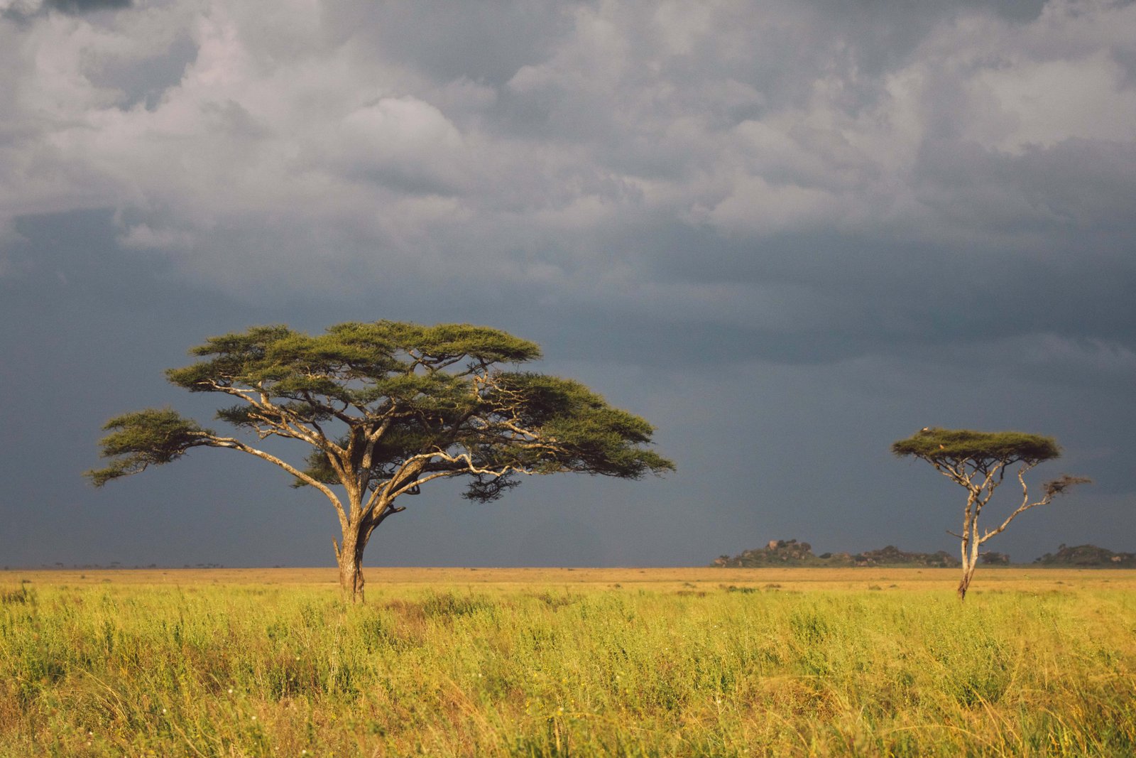 Kenya 10 Day Itinerary: Two Unique Routes for a Kenya Safari 6 Rainy season in Kenya