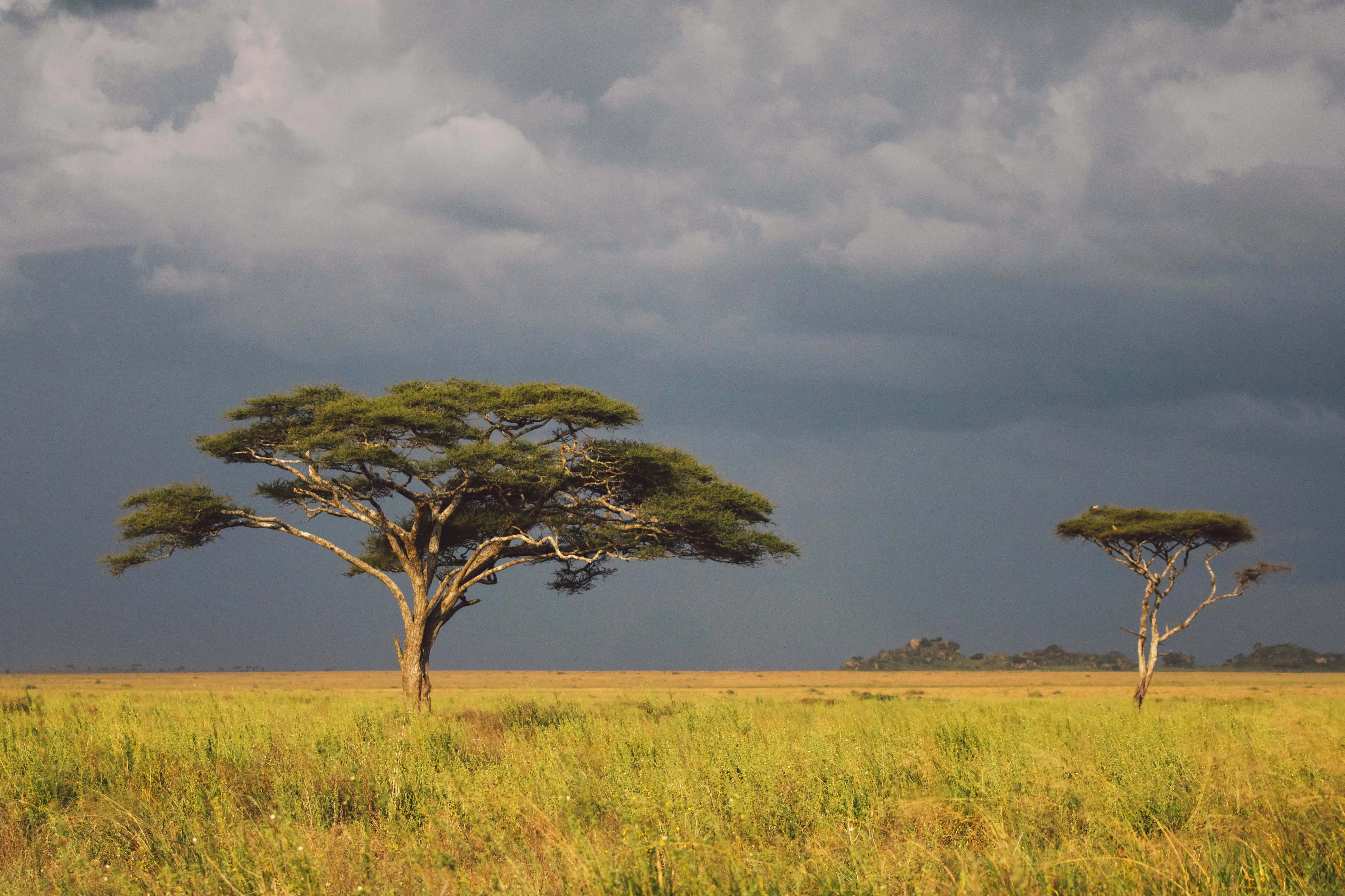 Rainy season in Kenya