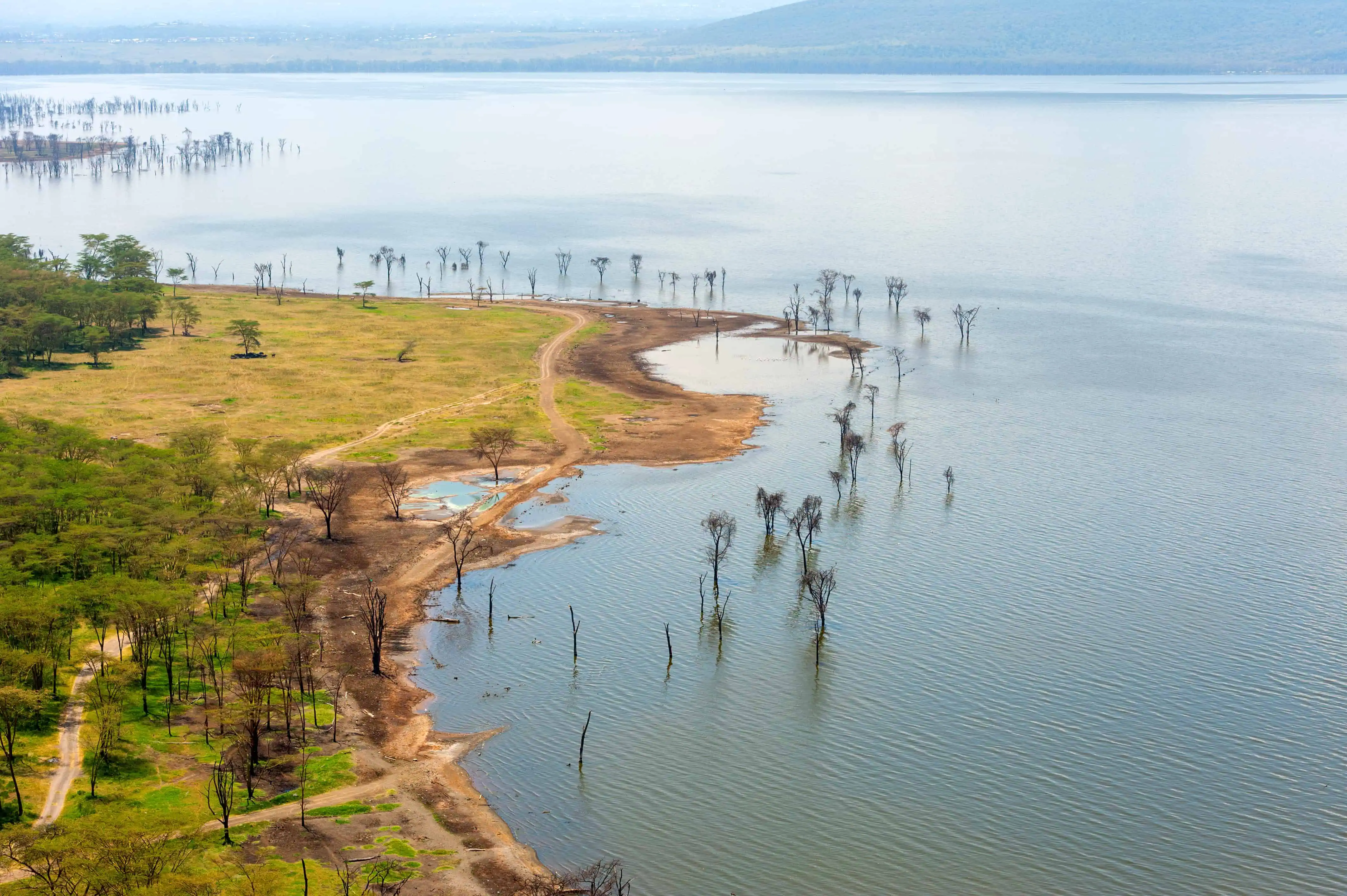 View on the lake in National park of Kenya Nakuru. Africa