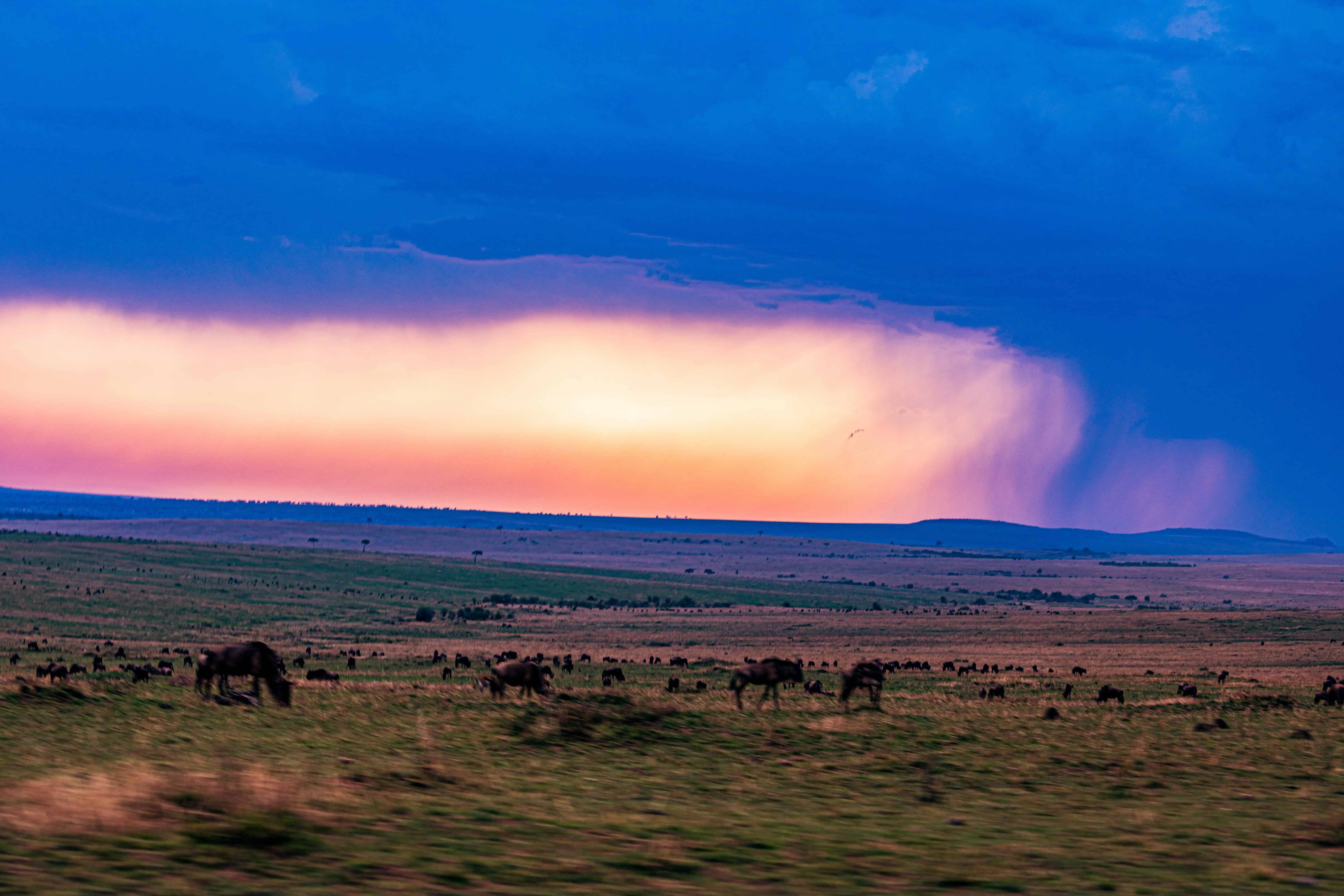 Sunset Sunrise Dramatic Clouds Rainy Wildlife Animals Savannah Grassland Wilderness Maasai Mara National Game Reserve Park Narok County Kenya East Africa Great Rift Valley Landscapes