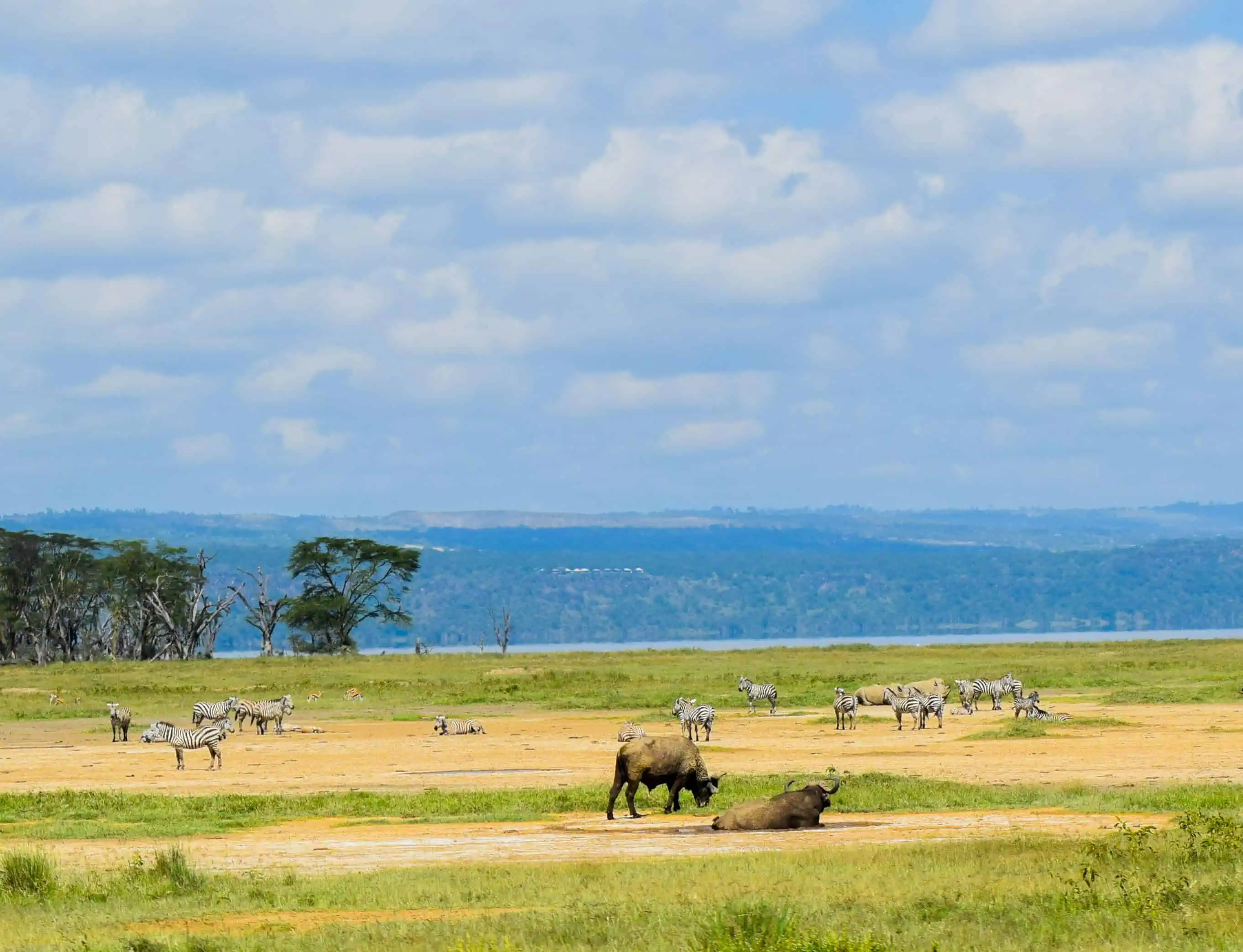 Lake Nakuru National Park