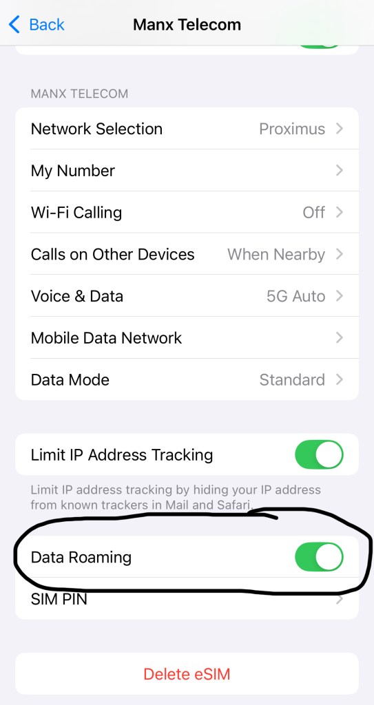 Enabling the data roaming in iPhone SIM settings