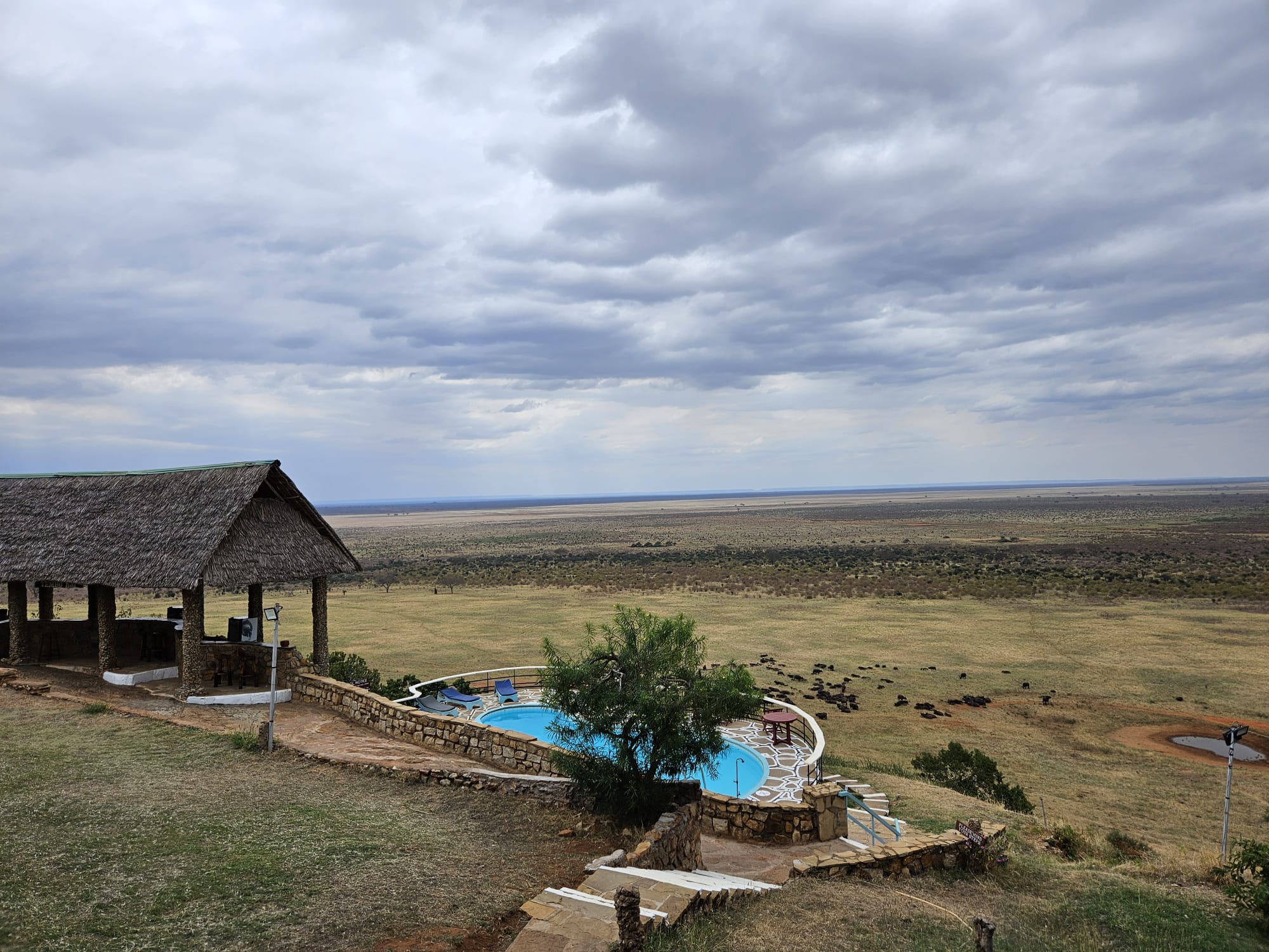 To keep a low budget, the cost of a Kenya safari in Voi Safari lodge is much lower than a 5* resort