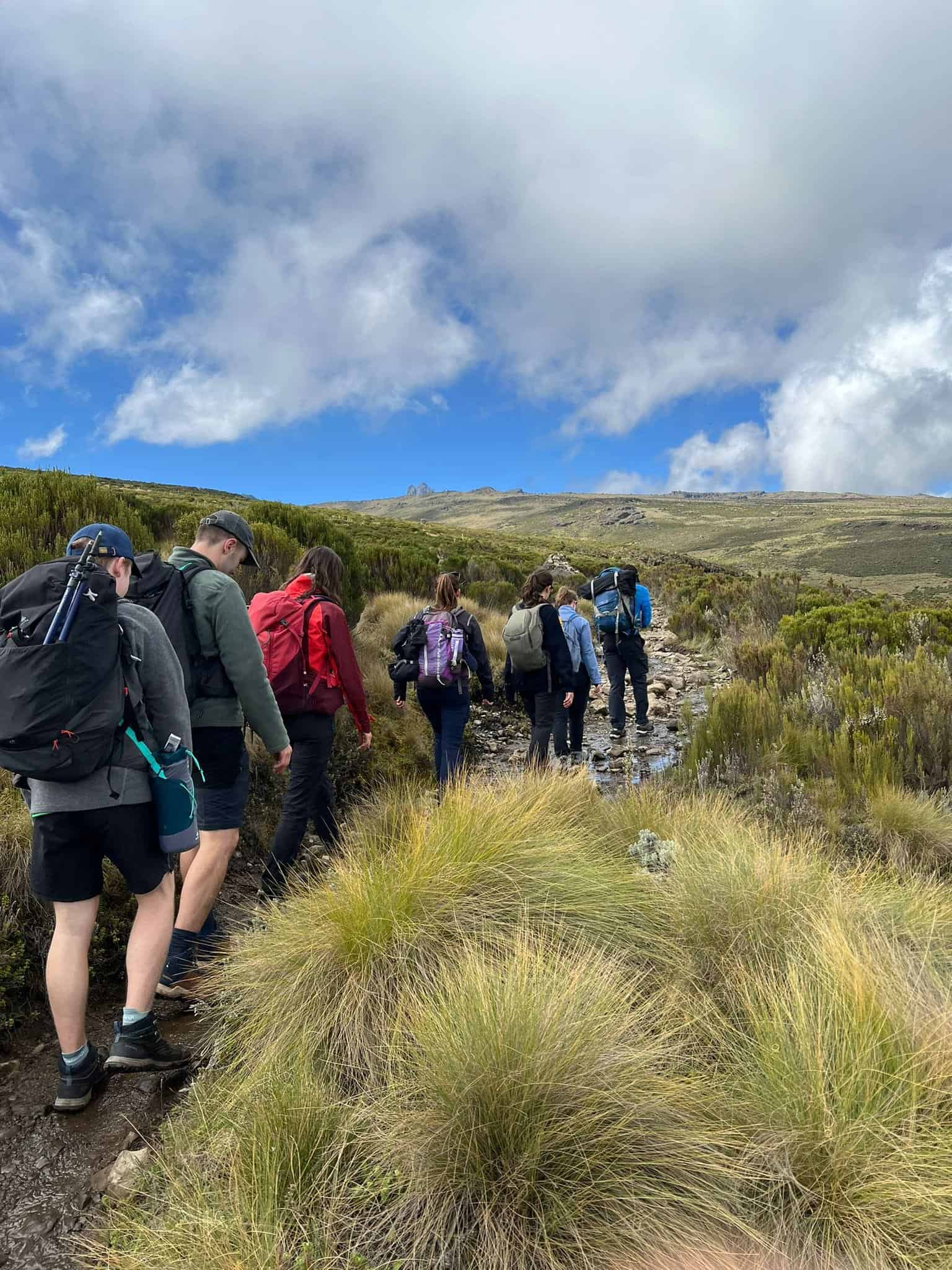 Hiking group walking through lush green terrain on a mountain trail, with vibrant sky and clouds above, showcasing outdoor adventure and nature exploration.