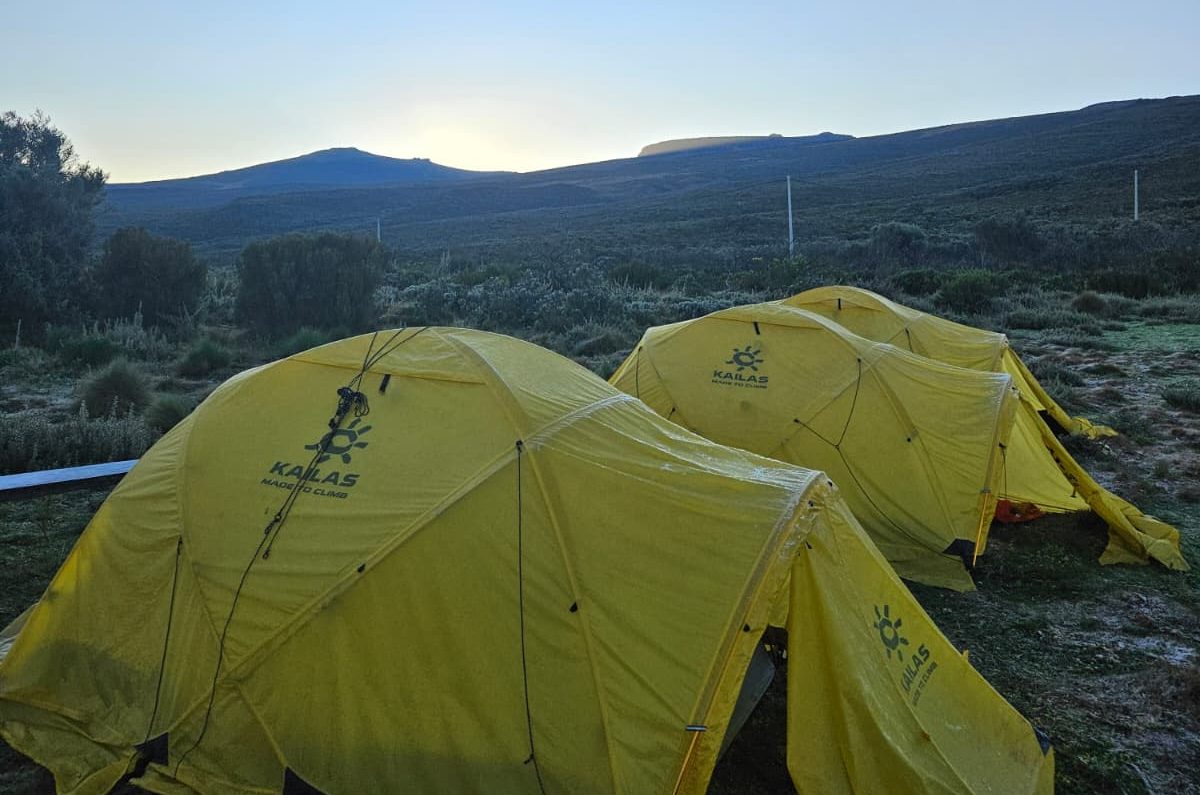 Bright yellow camping tents set up on a grassy field at sunset, surrounded by nature, perfect for outdoor adventures and exploring remote landscapes.