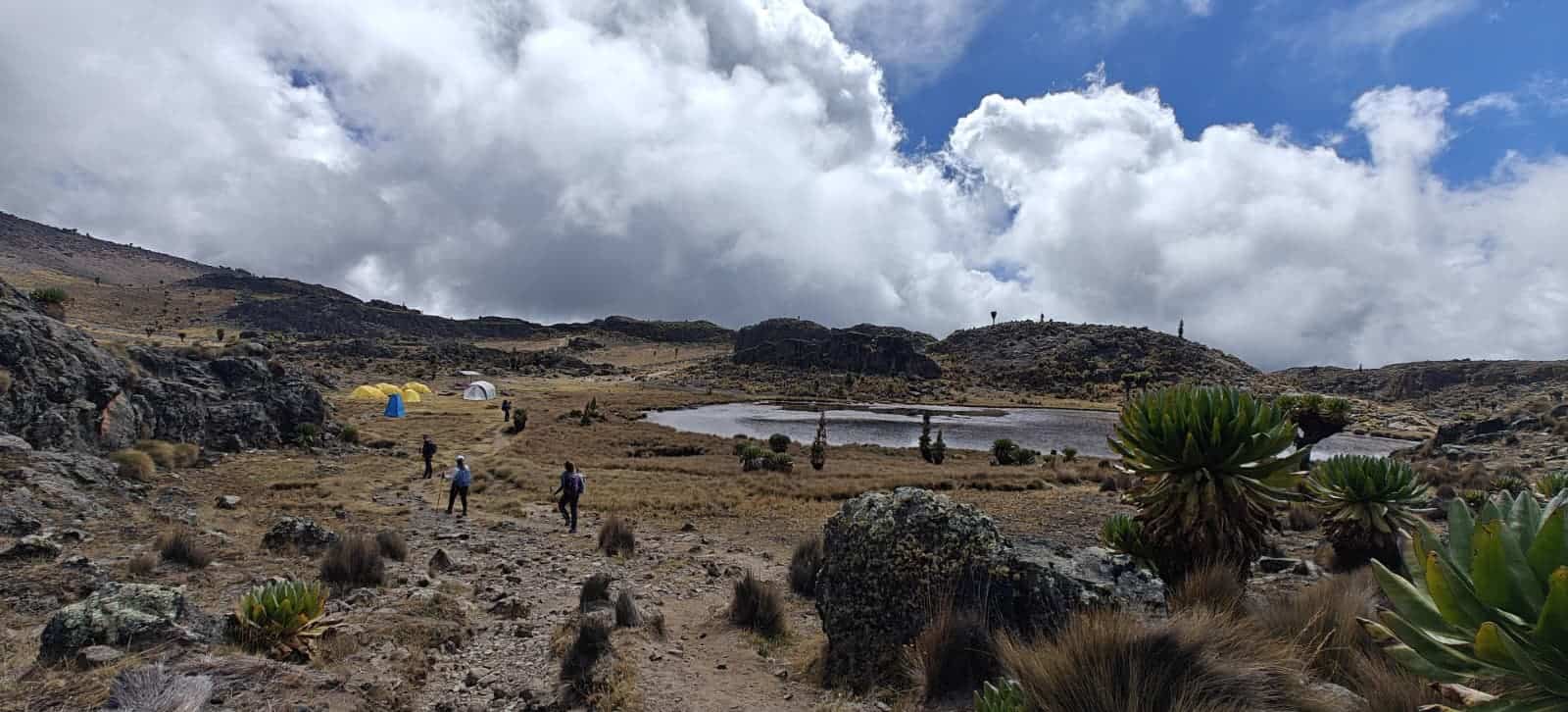 Acclimaziation at altitiude at Mount Kenya