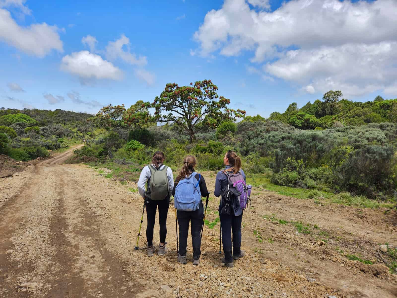 Start of the Mount Kenya hike