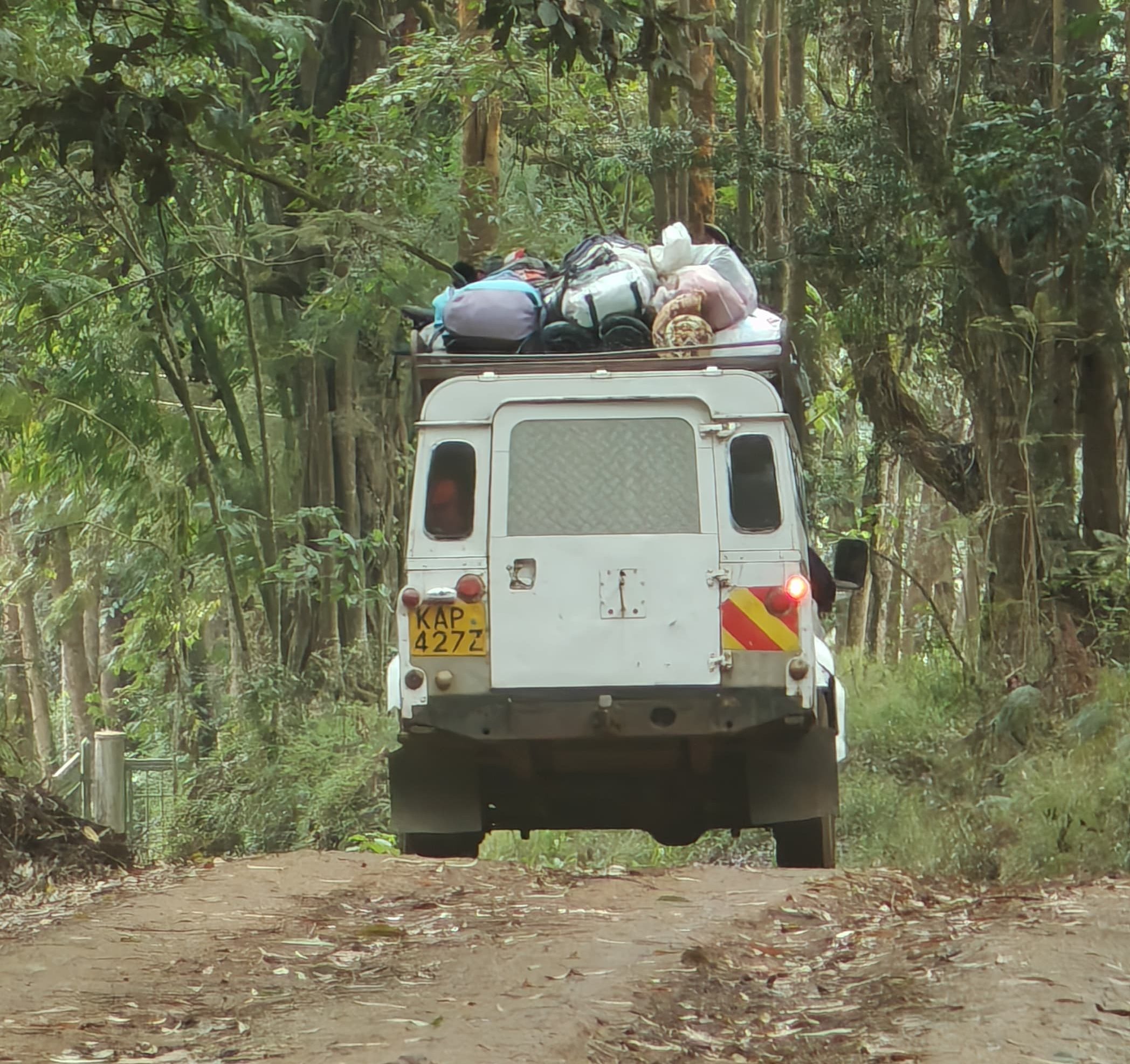 Lush green forest scene with a white off-road vehicle loaded with camping gear on a dirt trail, surrounded by dense foliage.