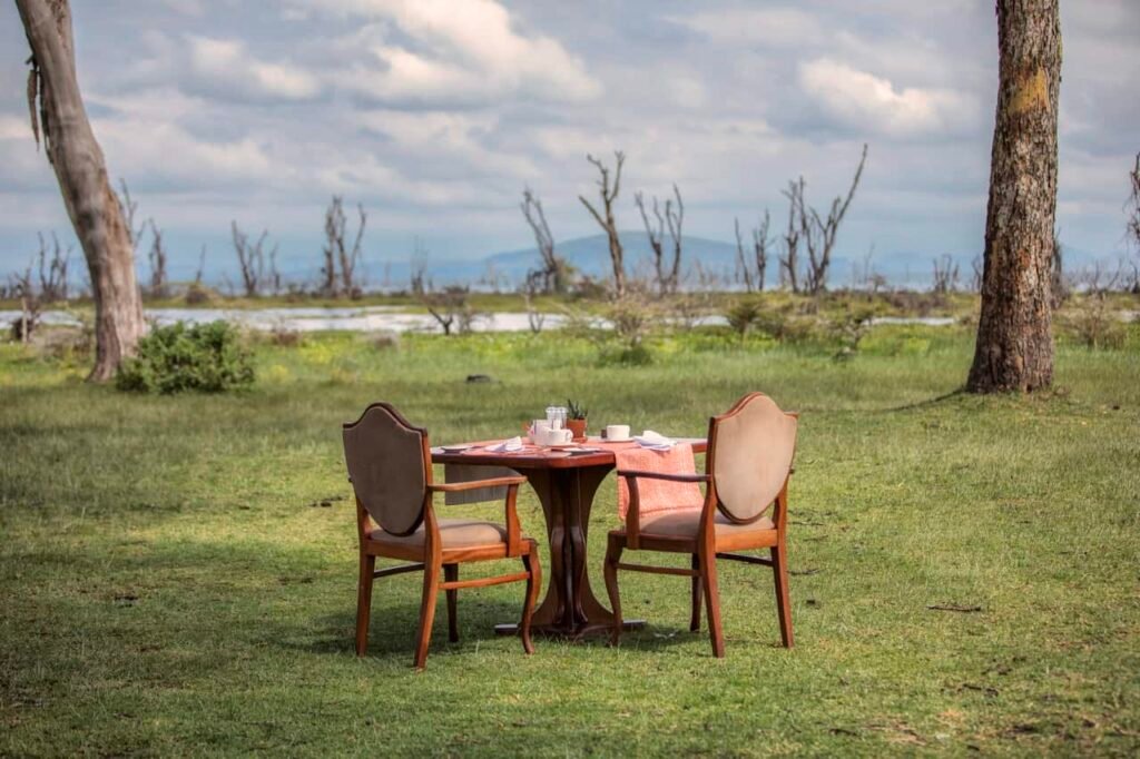 Best hotels in Naivasha Kenya: 11 picks by budget and vibe (2026 Guide) 3 A scenic outdoor dining setup in a lush grassy area with trees and distant mountains, perfect for a peaceful getaway at Lost Between Oceans.