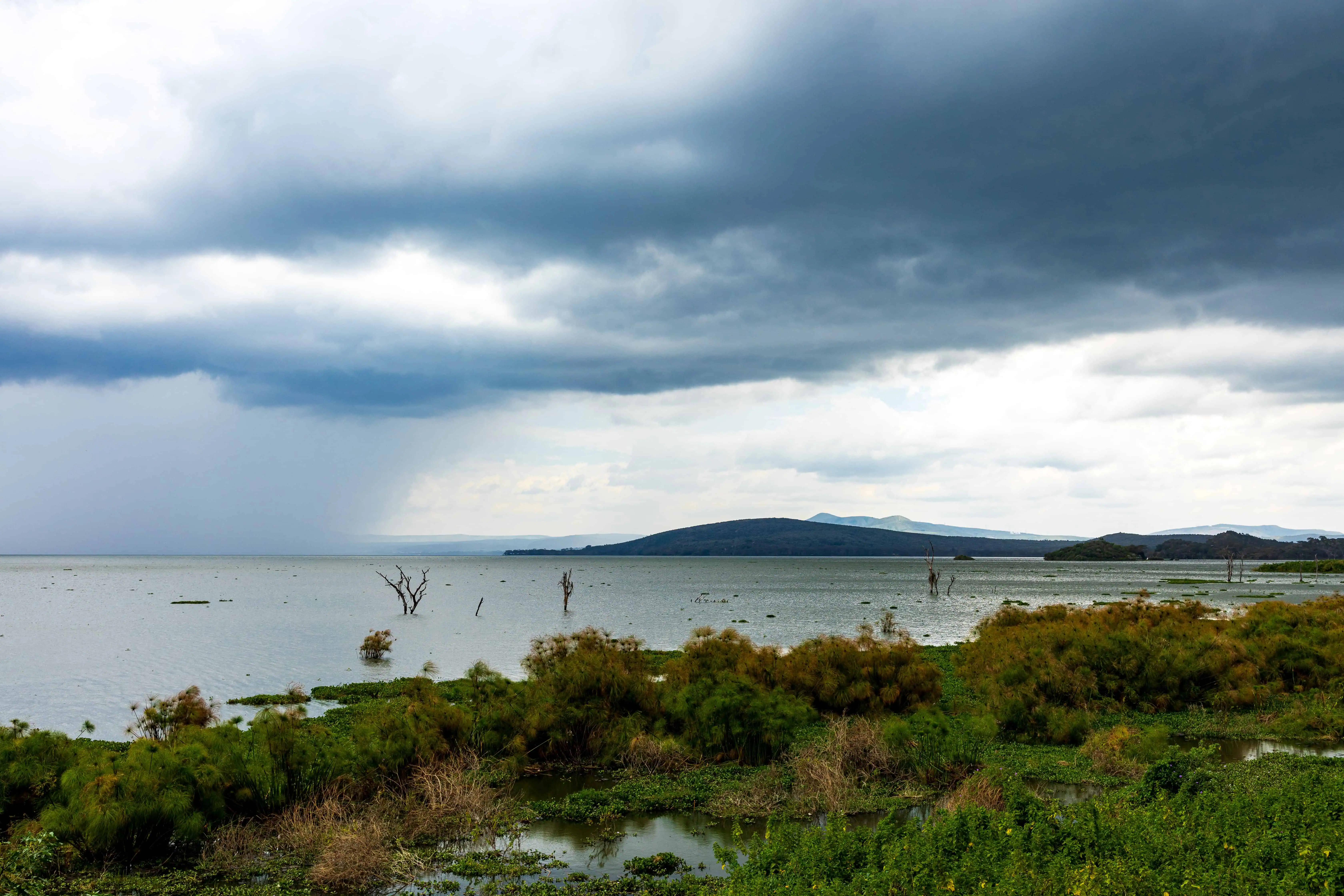 Rainy coastal landscape with dark storm clouds over Lake Naivasha in Kenya, visible trees, and distant hills, capturing the moody, atmospheric beauty of a submerged wetlands area.