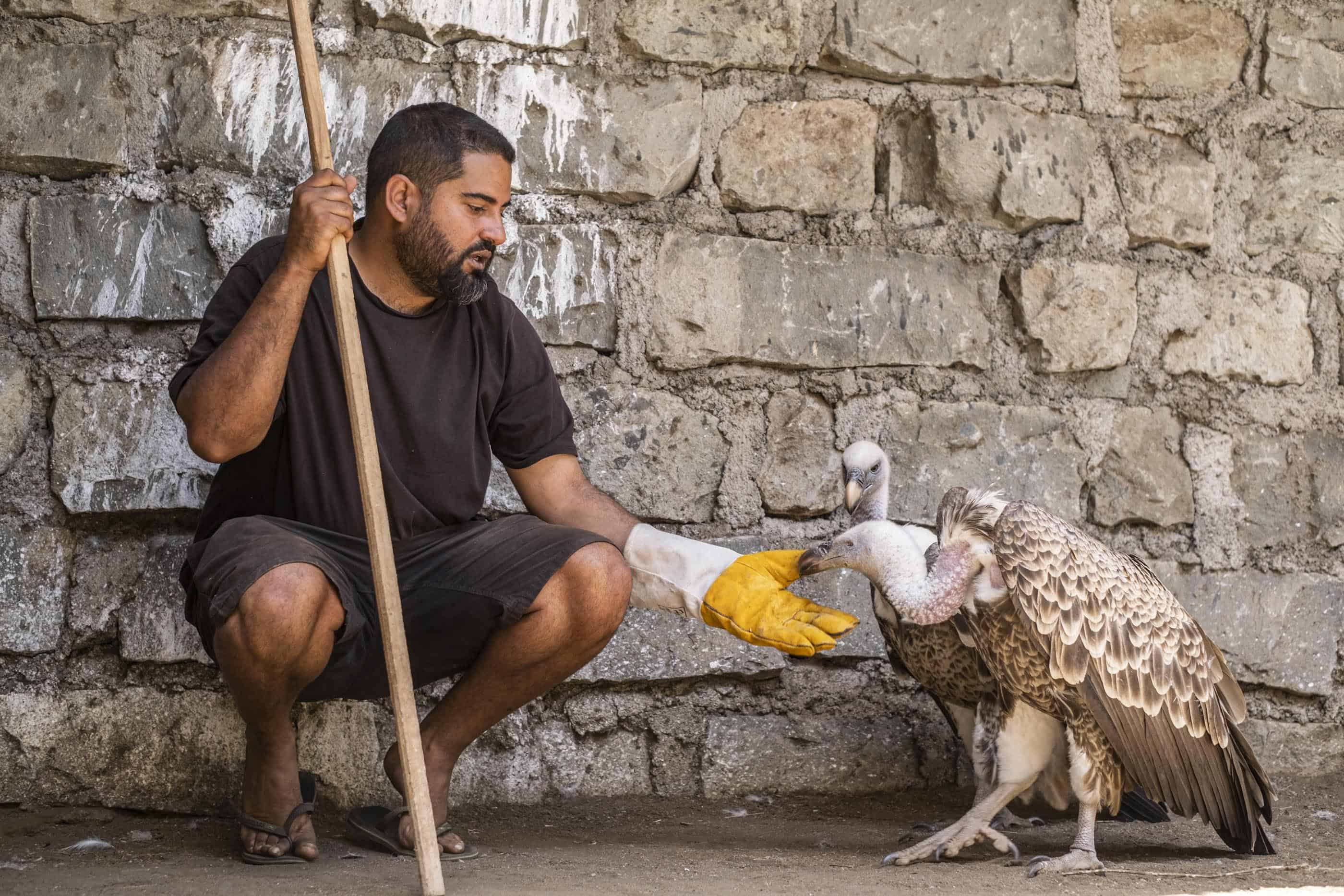 Naivasha Raptor Centre