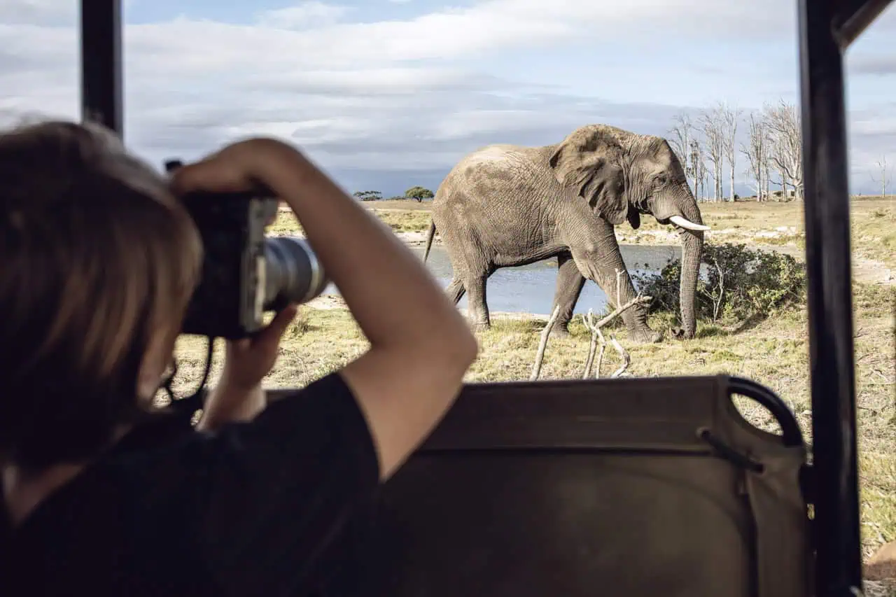 Back view of taking a picture of an elephant in Kenya Large. A camera is part of the packing list for Kenya