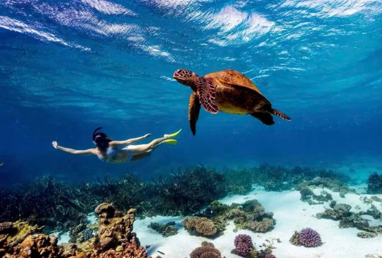 Top 18 Things to Do in Diani Beach: Expert Guide + Itinerary 13 KISITI-MPUNGUTI MARINE NATIONAL PARK