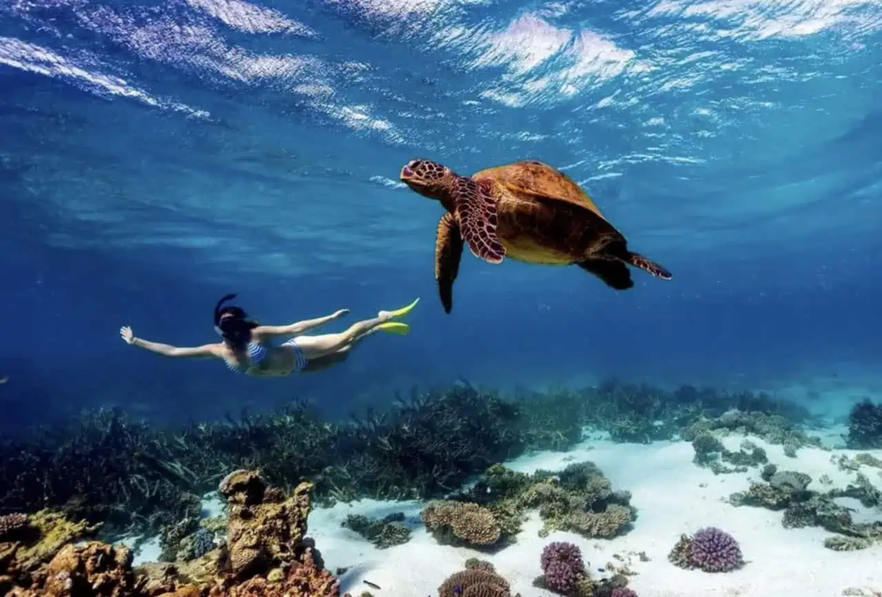 KISITI-MPUNGUTI MARINE NATIONAL PARK