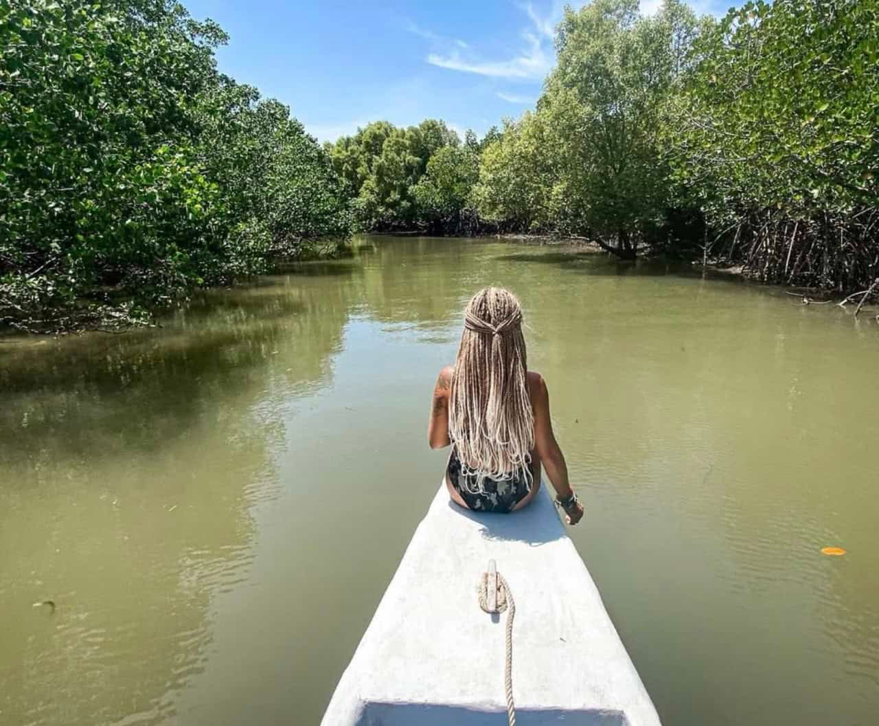 Top 18 Things to Do in Diani Beach: Expert Guide + Itinerary 26 Mangrove