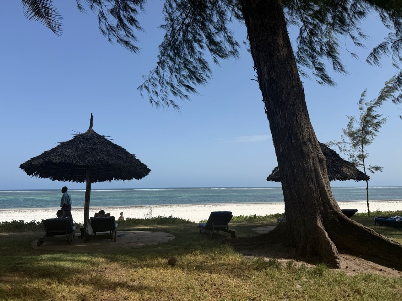 Relaxing at Diani beach