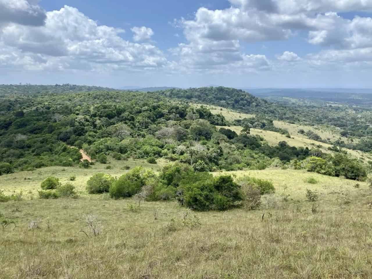 Shimba Hills