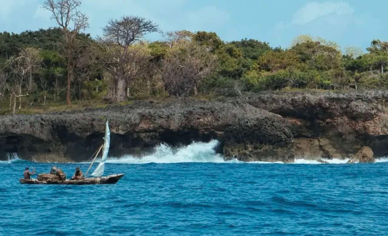 Top 18 Things to Do in Diani Beach: Expert Guide + Itinerary 9 Wasini Island