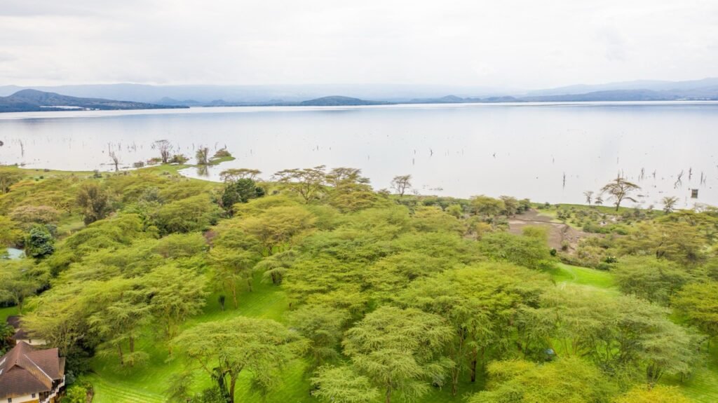 Best hotels in Naivasha Kenya: 11 picks by budget and vibe (2026 Guide) 8 Sawela lodge overlooking Lake Naivasha