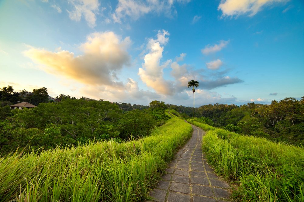 22 Best Things to Do in Ubud, Bali (First-Timer's Guide) 7 Campuhan Ridge Walk