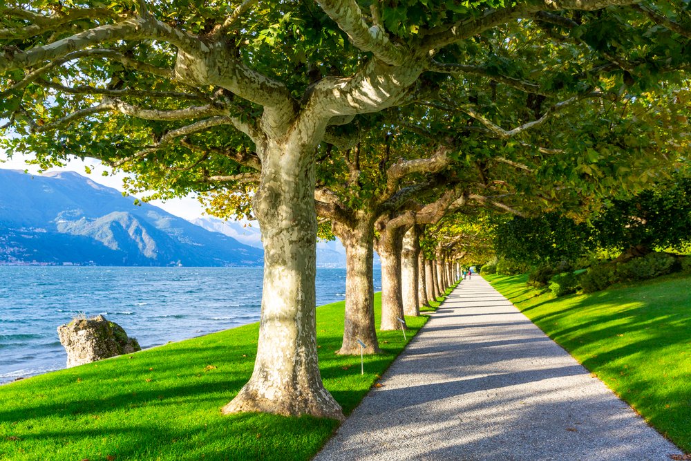 What Are The Best Things To Do In Bellagio ( Lake Como's most iconic town) 5 Villa Melzi gardens in the beautiful evening light, Italy