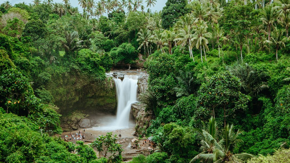 22 Best Things to Do in Ubud, Bali (First-Timer's Guide) 10 Tegenungan Waterfall