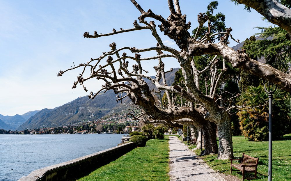 Things to do in Tremezzo: Villa Carlotta and Villa Del Balbianello + Itinerary 11 Parco Teresio Olivelli