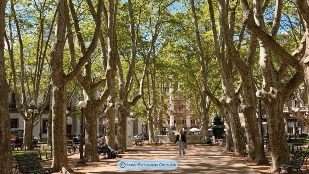One Day in Montevideo: Our Easy Walking Itinerary (2026) 19 Plaza Zabala