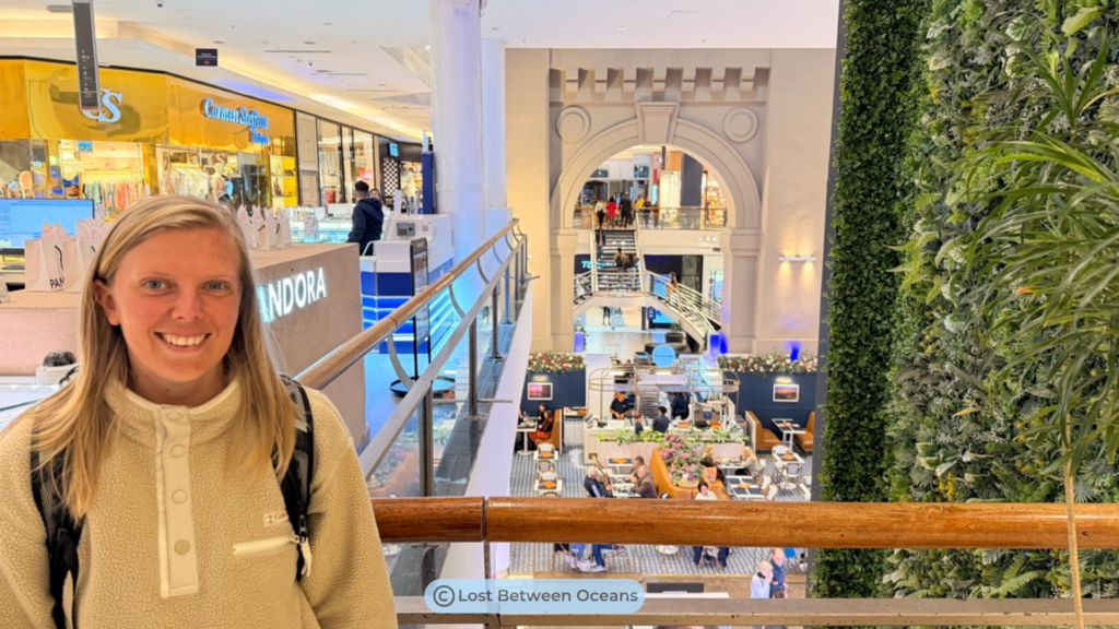 24 Best Things to Do in Montevideo (2026 Guide) 24 Punta Carreta shopping mall